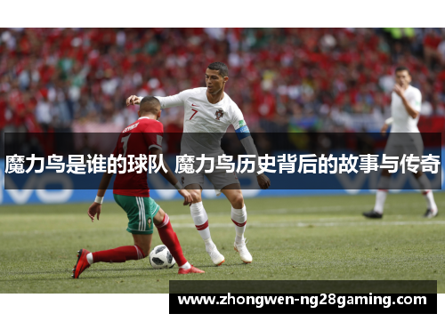 魔力鸟是谁的球队 魔力鸟历史背后的故事与传奇