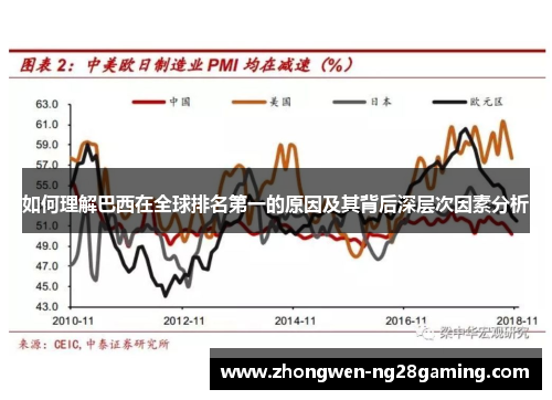 如何理解巴西在全球排名第一的原因及其背后深层次因素分析