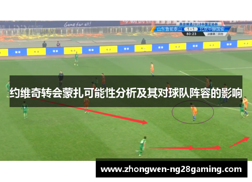 约维奇转会蒙扎可能性分析及其对球队阵容的影响