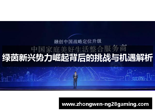 绿茵新兴势力崛起背后的挑战与机遇解析