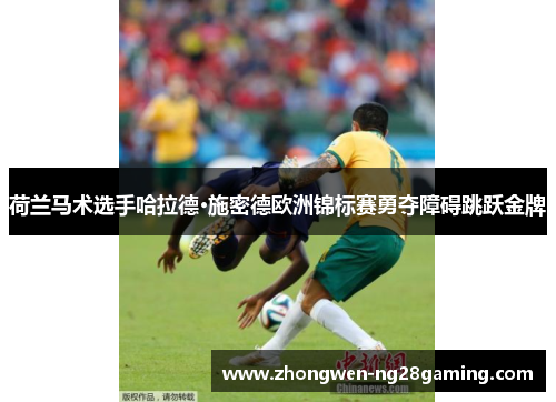 荷兰马术选手哈拉德·施密德欧洲锦标赛勇夺障碍跳跃金牌