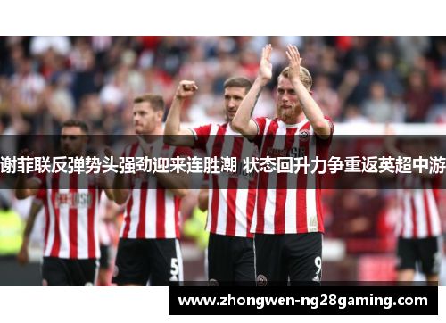 谢菲联反弹势头强劲迎来连胜潮 状态回升力争重返英超中游