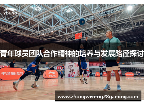 青年球员团队合作精神的培养与发展路径探讨