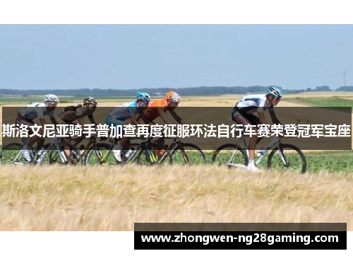 斯洛文尼亚骑手普加查再度征服环法自行车赛荣登冠军宝座