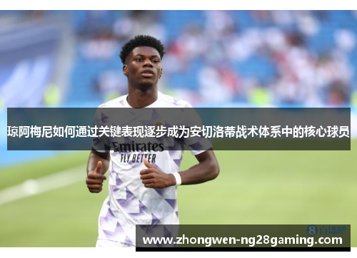 琼阿梅尼如何通过关键表现逐步成为安切洛蒂战术体系中的核心球员