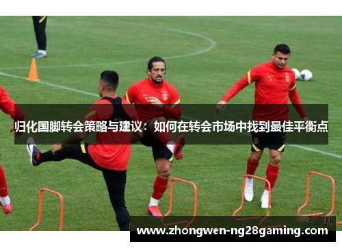 归化国脚转会策略与建议：如何在转会市场中找到最佳平衡点