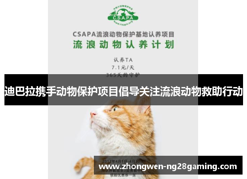 迪巴拉携手动物保护项目倡导关注流浪动物救助行动