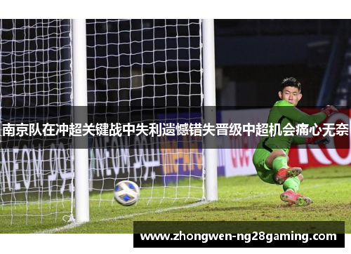 南京队在冲超关键战中失利遗憾错失晋级中超机会痛心无奈